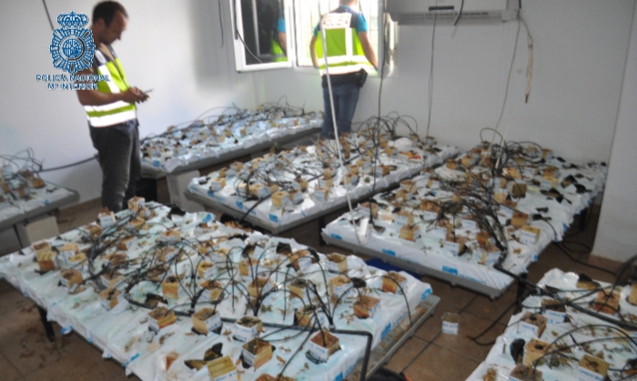 La Policía Nacional desmantela una organización dedicada al contrabando de tabaco en Écija