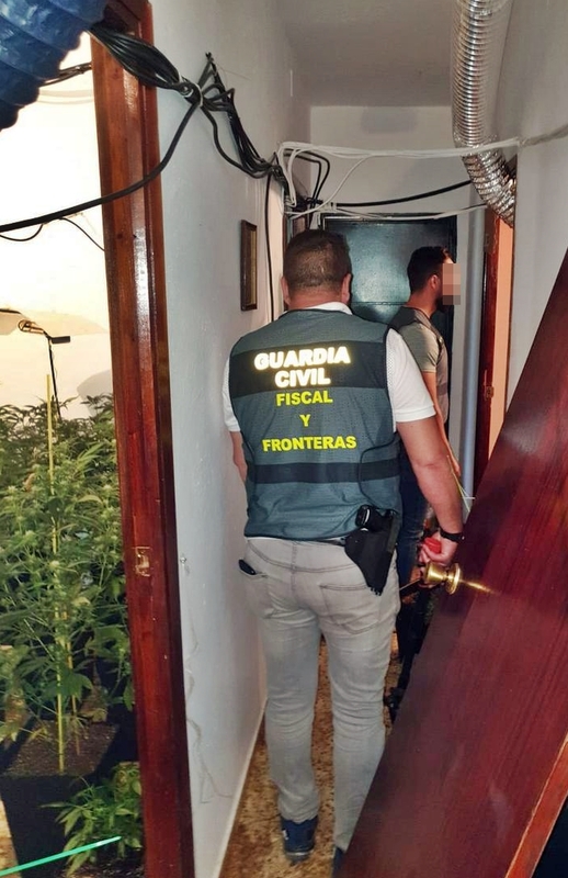 Desarticulada una organización dedicada al contrabando de tabaco y cultivo de marihuana