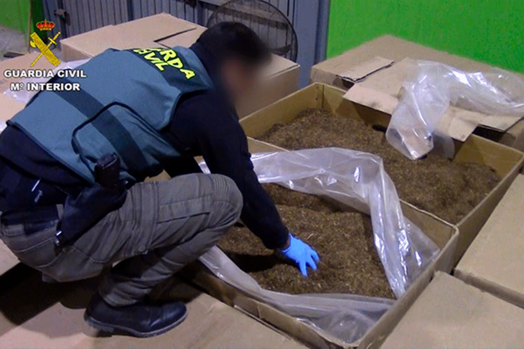 Desmantelada una fábrica ilegal de tabaco de contrabando en Lucena