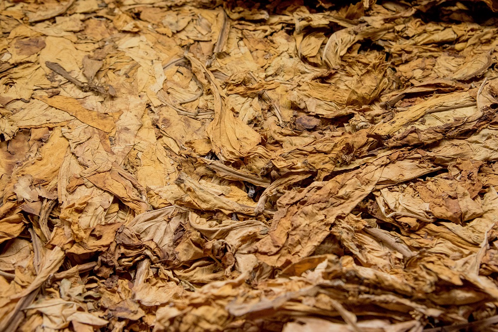 La Mesa del Tabaco, en colaboración con la Agencia Tributaria, elimina 2.000 anuncios ilegales de venta de picadura en internet