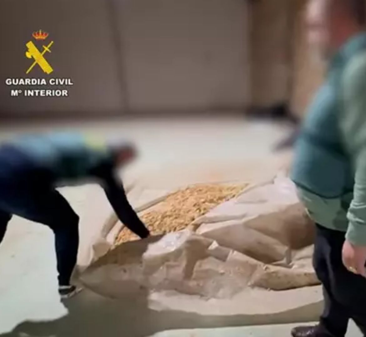 Desmantelada una fábrica ilegal de tabaco en Lucena con más de 2.600 kilos de hoja de tabaco incautados 